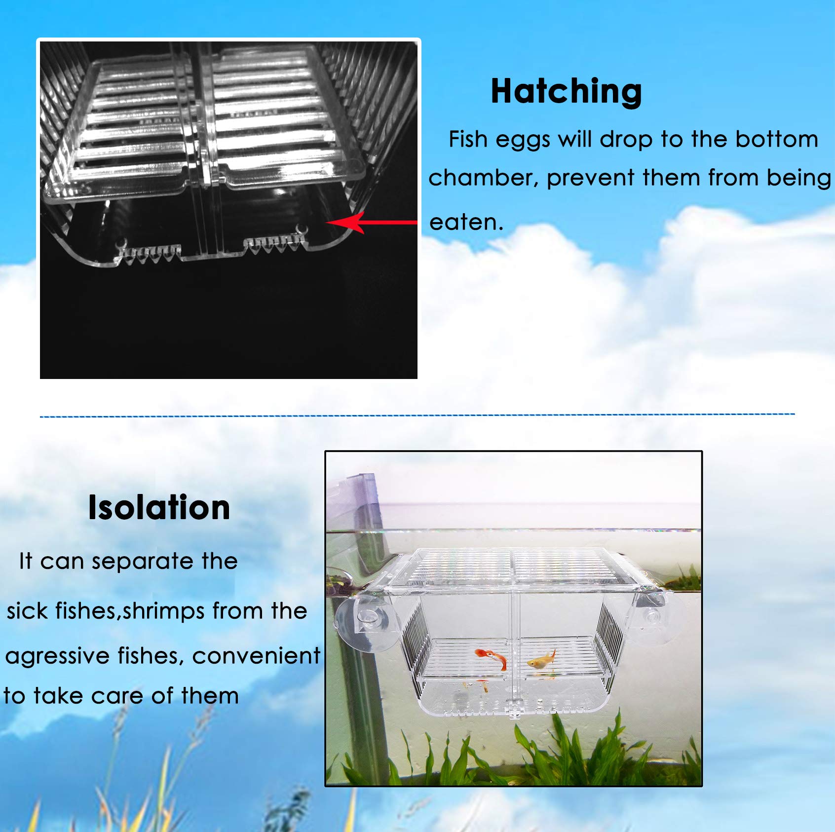 Cepetsma Fish Breeder Box - Hang-on Nursery Fish Tank With Breeding Hatchery, Perf for Aggressive & Injured Species